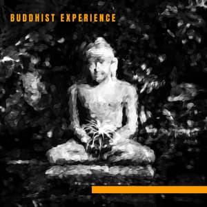 Buddhist Experience – Deep Meditation, Harmony and Balance, Blissful Moments, Relaxation, Reiki, Chakra Meditation, Nature of Zen - Seven Main Chakras