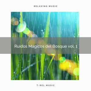 1 Ruidos Mágicos del Bosque vol. 1 - Sonidos de la Naturaleza para Dormir