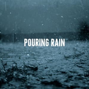 Pouring Rain - Rain Sounds Lab