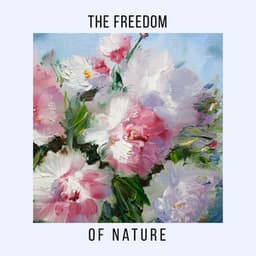 The Freedom of Nature: Take A Break and Breathe - Nature Ambience