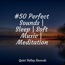 #50 Perfect Sounds | Sleep | Soft Music | Meditation - Wave Sound Group