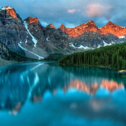 Summer Nature Melodies | Sleep - Sleep Tight