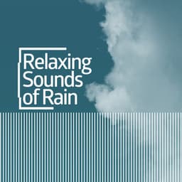 Relaxing Sounds of Rain - Rain for Deep Sleep