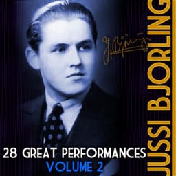 28 Great Performances, Vol. 2 - Richard Strauss