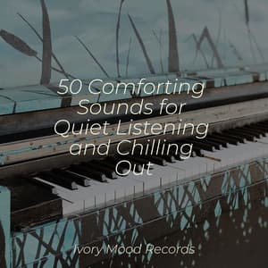 50 Comforting Sounds for Quiet Listening and Chilling Out - Ivory Mood