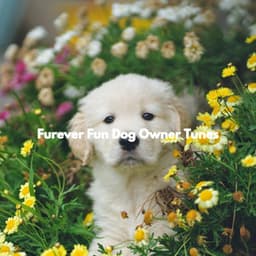 Furever Fun Dog Owner Tunes - Relaxing Dog Music Society