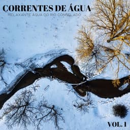 Correntes De Água: Relaxante Água Do Rio Congelado Vol. 1 - Música de Relaxamento No Spa