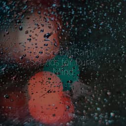 50 Spring Rain Sounds for Pure Mind - Natureza