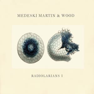 Radiolarians 1 - Medeski, Martin & Wood
