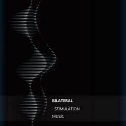 Bilateral Stimulation Music - Anghashi