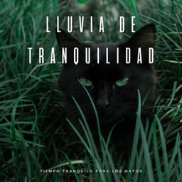 Lluvia De Tranquilidad: Tiempo Tranquilo Para Los Gatos - Proyecto Música para Gatos