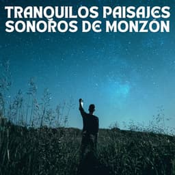 Tranquilos Paisajes Sonoros De Monzón - Academia de sonido de lluvia curativa