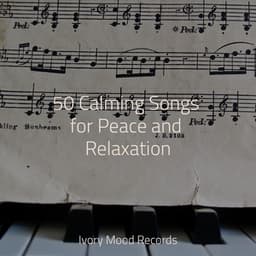 50 Calming Songs for Peace and Relaxation - Relaxing Mindfulness Meditation Relaxation Maestro