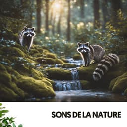 Sons de la Nature : Mélodies de la Forêt - Dog Relaxation