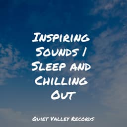 Inspiring Sounds | Sleep and Chilling Out - Zarobi