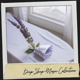 Spa Sleep Music: Moonlit Lullabies - Solfeggio Frequencies 528Hz