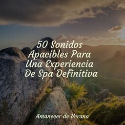 50 Sonidos Apacibles Para Una Experiencia De Spa Definitiva - Relaxing Mindfulness Meditation Relaxation Maestro