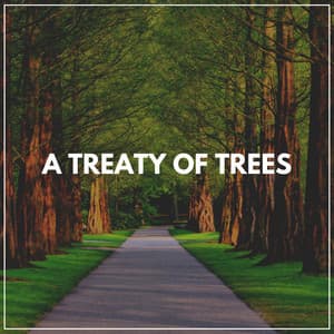 A Treaty of Trees - Worldwide Nature Studios