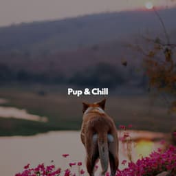 Pup & Chill - Jazz Ligera para Hoteles