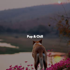 Pup & Chill - Jazz Ligera para Hoteles