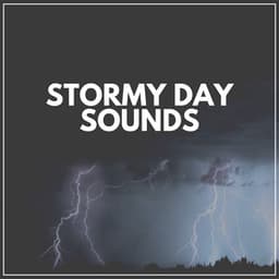 Stormy Day Sounds - Stormy Station
