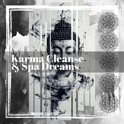 Karma Cleanse & Spa Dreams - Zephyr Echoes