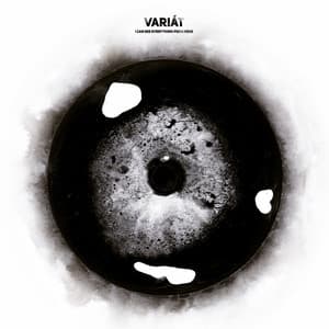 I Can See Everything from Here - Variát