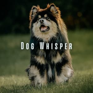 Dog Whisper: Relaxing Sounds for Ultimate Comfort - Relaxxium