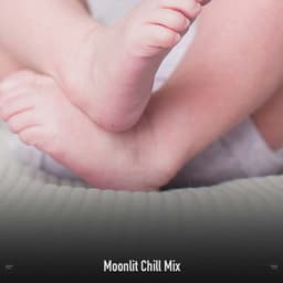 !!!!" Moonlit Chill Mix "!!!! - LO-FI BEATS