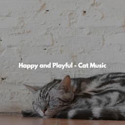 Happy and Playful - Cat Music - #Relaxing Radio