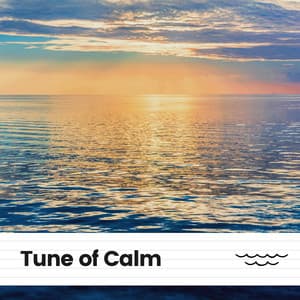 Tune of Calm - Stress Relief Calm Oasis