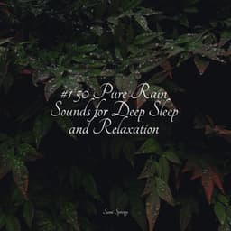 50 Best Winter Rain Tracks - Kundalini Yoga