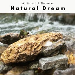 1 Natural Dream - Actors of Nature