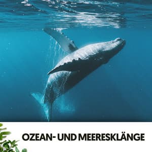 Ozean- und Meeresklänge: Tiefe Gedanken - Cat Music Therapy