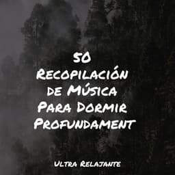 50 Recopilación de Música Para Dormir Profundamente - Meditação Zen