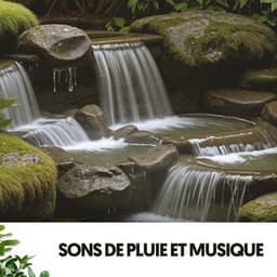 Sons de Pluie et Musique : Mélodies du Ciel - Cat Music Therapy