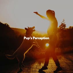 Pup's Perception - Relaxed Bossa Ambiance