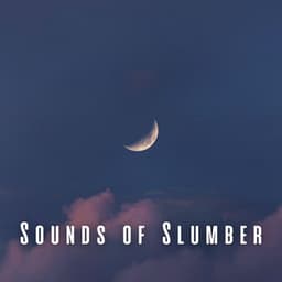 Sounds of Slumber: Music for Tranquil Sleep - Simply Hypnotic