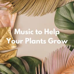 Music to Help Your Plants Grow - Ontspannende Muziek