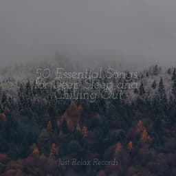 50 Essential Songs for Deep Sleep and Chilling Out - Musica Reiki
