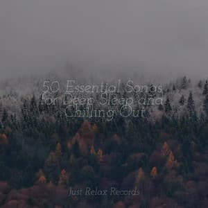 50 Essential Songs for Deep Sleep and Chilling Out - Musica Reiki