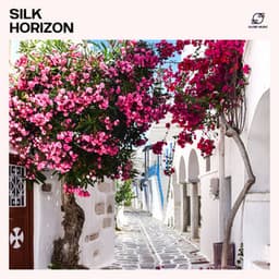 Silk Horizon: Chill House - Cafe Chillout de Ibiza