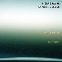 Vol à Voile - Pierre Favre