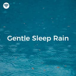 Gentle Sleep Rain - Rain WRLD