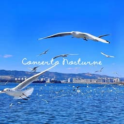 Concerto Nocturne - Relaxing Piano Music