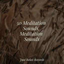 50 Meditation Sounds, Meditation Sounds - Happy Baby Lullaby Collection