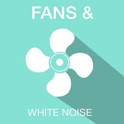 Fans & White Noise - Fans & White Noise