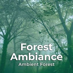 Forest Ambiance - Ambient Forest