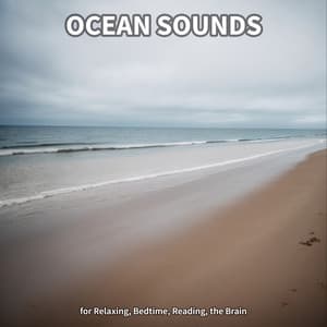 #1 Ocean Sounds for Relaxing, Bedtime, Reading, the Brain - Beach Sounds