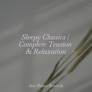 Sleepy Classics | Complete Tension & Relaxation - Ambient